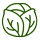 cabbage-small-icon